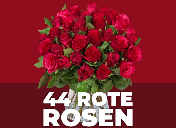 Blume Ideal: 44 rote Rosen für 24,98 Euro frei Haus
