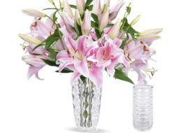 Blumeideal: 15 Lilien inklusive Glasvase für 22,98 Euro frei Haus