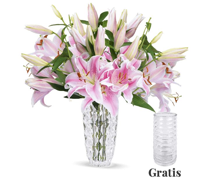 Blumeideal: 15 Lilien inklusive Glasvase für 22,98 Euro frei Haus