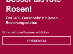 Ebay: 14 Prozent Rabatt auf Technik und mehr zum Valentinstag