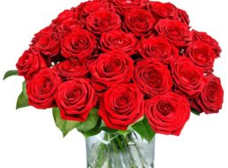 Blumeideal: 20 rote Rosen mit großem Blütenkopf für 19,98 Euro frei Haus