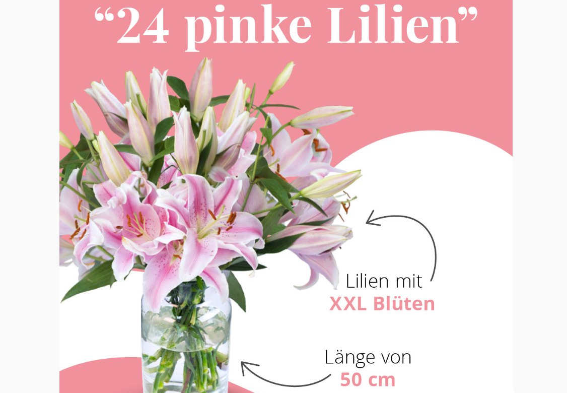Blumeideal: 24 pinke Lilien mit XXL-Blüten für 24,98 Euro frei Haus