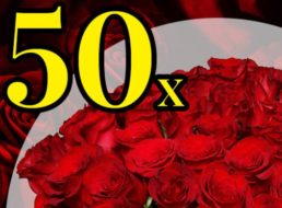 Blumeideal: 50 rote Rosen für 27,98 Euro frei Haus