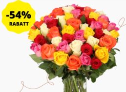 Blumeideal: 44 Bunte Rosen für 25,98 Euro mit Versand