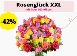 Blumeideal: “Rosenglück XXL” mit 100 Blüten für 25,98 Euro frei Haus