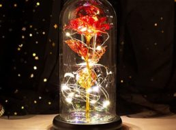 Amazon: Ewige Rose mit LED-Licht in Glaskuppel für 17,99 Euro