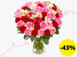 Blumeideal: “Rosenwunder XXL” für 19,99 Euro plus Versand