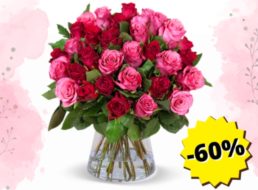 Blume Ideal: 44 rote Rosen für 24,98 Euro frei Haus