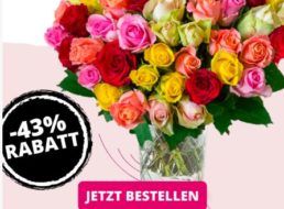 Blumeideal: 33 bunte Rosen für 19,99 Euro plus Versand