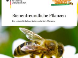 Gratis: Ratgeber “Bienenfreundliche Pflanzen” zum Nulltarif frei Haus