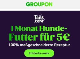 Groupon: Ein Monat Hundefutter für fünf Euro