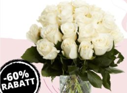 Blumeideal: 44 weiße Rosen für 22,99 Euro