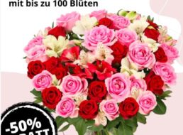 Blumeideal: “Rosenwunder XXL” für 19,99 Euro