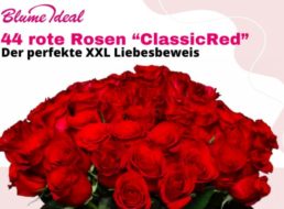 Blumeideal: 44 rote Rosen für 21,99 Euro plus Versand