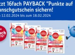 Rewe Kartenwelt: Wunschgutschein mit 16-fach Payback-Punkten