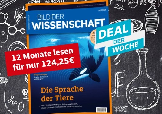 "Bild der Wissenschaft": Jahresabo für 124,25 Euro mit Prämie über 120 Euro