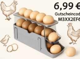 Amazon: Kühlschrank-Eierspender für 6,99 Euro