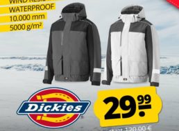 Sportspar: Dickies Winterjacke für 29,99 Euro