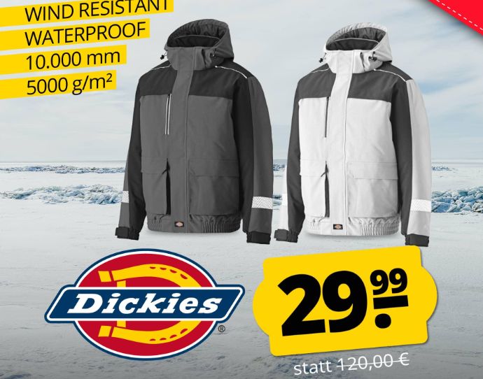 Sportspar: Dickies Winterjacke für 29,99 Euro