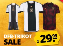 Sportspar: DFB-Trikotsale mit Schnäppchen ab 29,99 Euro