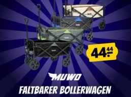 Sportspar: Bollerwagen mit 110 Kilo Belastbarkeit für 44,44 Euro