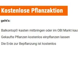 Gratis: Kostenlose Pflanzaktion bei OBI für zwei Tage