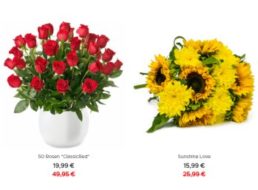 Blumeideal: 50 rote Rosen für 19,99 Euro plus Versand