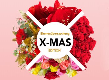 Blumeideal: Blumenüberraschung zu Weihnachten für 22,98 Euro frei Haus