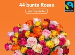 Fairtrade: Rosenstrauß mit 44 bunten Blüten für 22,98 Euro frei Haus