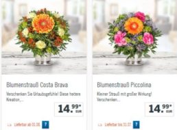 Lidl: Blumenstrauß für 9,99 Euro frei Haus dank Gutschein