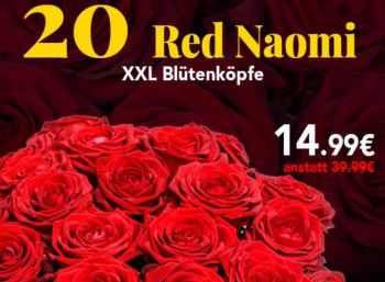 Blumeidal: 20 Rosen Red Naomi für 19,98 Euro mit Versand