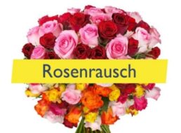 Rosen-Rabatt: 34 langstielige Rosen für 19,94 Euro frei Haus